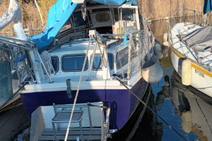 Motorseiler tortuga 27