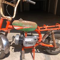 Mini moto zanzarino