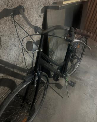 Bici da passeggio