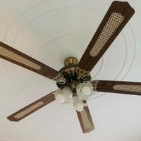 Lampadario e ventilatore da soffitto