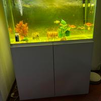 Aquario Ciano completo