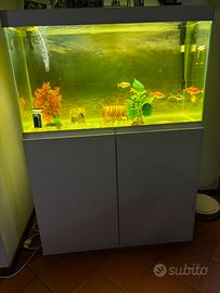 Aquario Ciano completo