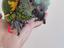 Immagine 6