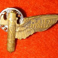 Fregio da bavero della Regia Aeronautica Italiana