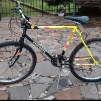 Mountain Bike cambio Shimano 