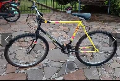 Mountain Bike cambio Shimano 