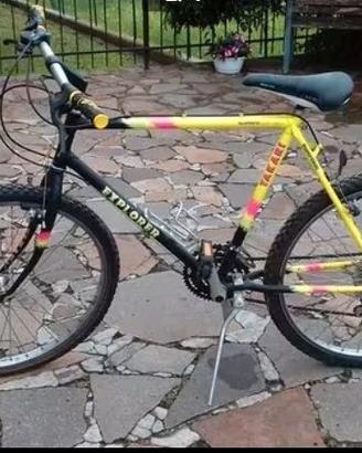 Mountain Bike cambio Shimano 
