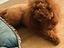Immagine 1