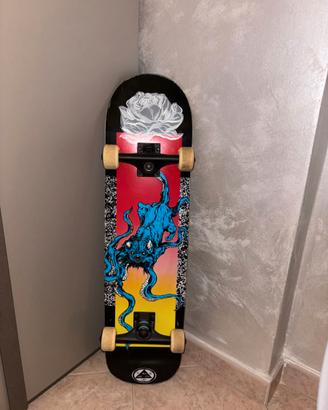 Skateboard