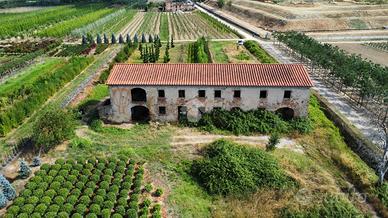 RUSTICO A PISTOIA