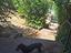 Immagine 13