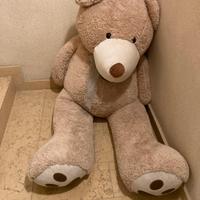 Orso dí peluche