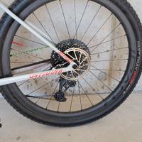 Cerchi Roval Control Carbon