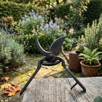 Forbici da potatura professionali Due buoi 