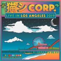 LP Vaporwave Cat system Corps Live in LA 2019