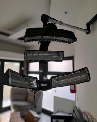 lampada 