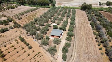 Villa Residenziale su lotto agricolo