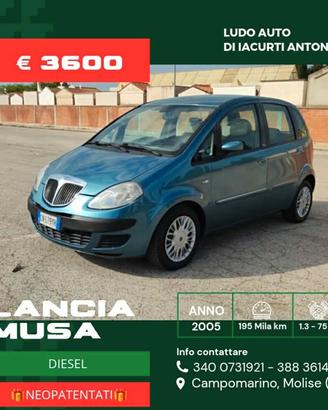 Lancia MUSA 1.3 Multijet 16V Platino