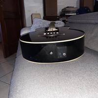 Basso ibanez acustico