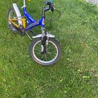 Bici mtb silver star bambino