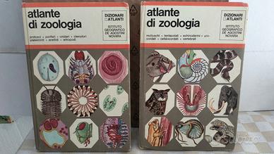 Atlante di Zoologia anno 1971 De Agostini 