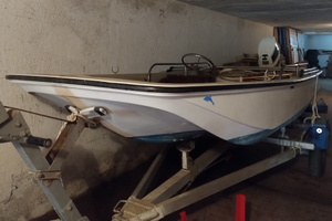 Boston whaler 13