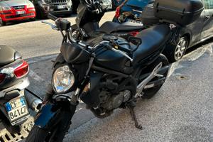 Suzuki gladius