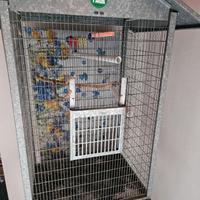 Gabbia voliera per uccelli