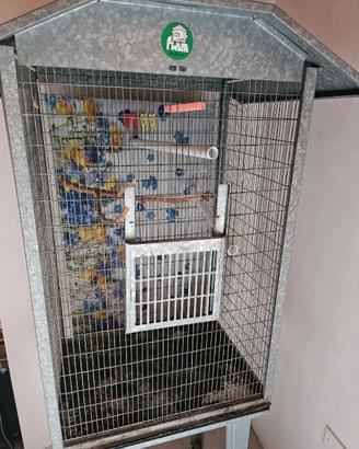 Gabbia voliera per uccelli