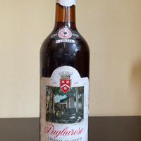 Bottiglia di vino da collezione Pagliarese