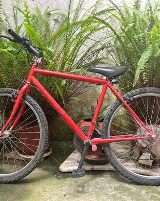 Mountain Bike