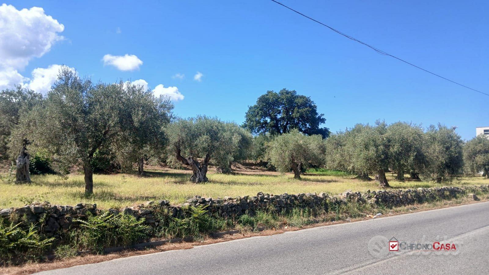 Terreno agricolo a Piano Torre - Vista 3