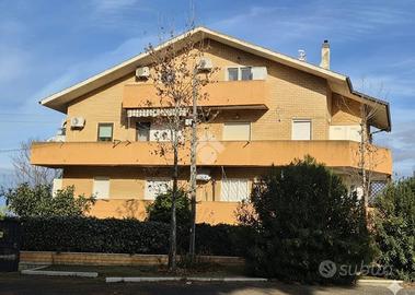 4 LOCALI A TARQUINIA