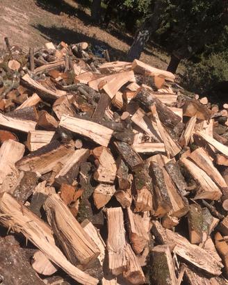 Legna ulivo leccio quercia corbezzolo sarda