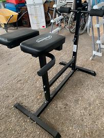 Panca physionics hyperextension