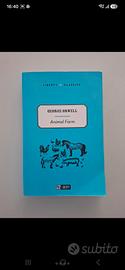 libro in inglese