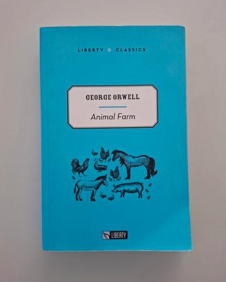 libro in inglese