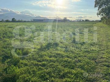 Terreno Agricolo Alife [Cod. rif 3254006VCG]