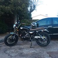 Mash Two Fifty 250 - 2019