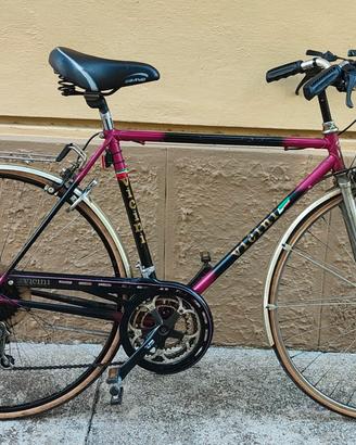 Bicicletta Vicini