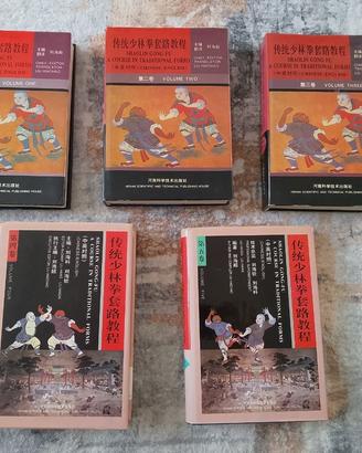 SHAOLIN GONG-FU - A COURSE IN TRADITIONAL FORMS