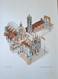 Il Duomo di Siena Tavola di Massimo Tosi 