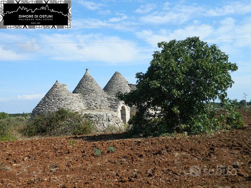 Gruppo di trulli le nicchie - martina franca - Vista 2