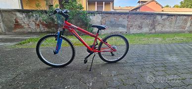 Bicicletta mtb Esperia Enjoy 24’