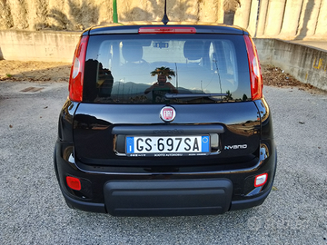 Panda 1000 ibrida