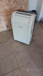 condizionatore portatile ( tipo pinguino)