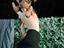 Immagine 1