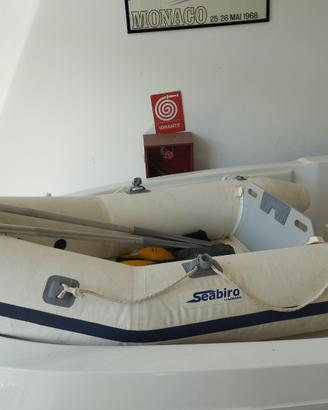 Tender con motore da 2.5 cv