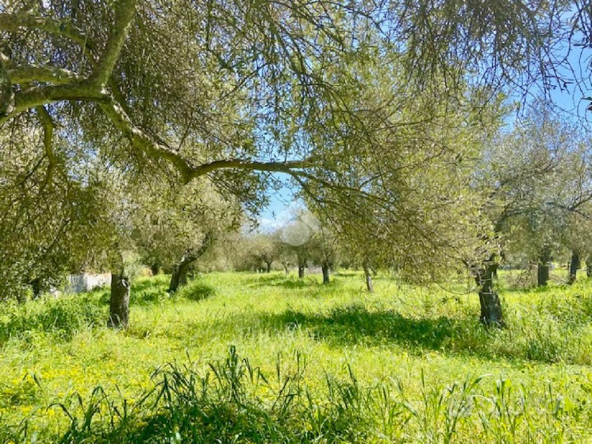 TER. AGRICOLO A ALGHERO - Vista 2