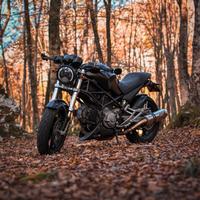 Smembro Ducati Monster 620 Dark 2006